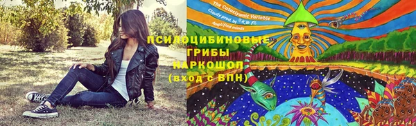 соль ск Осташков