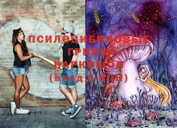 mix Няндома