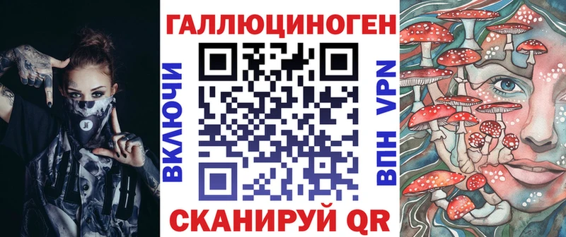 Купить  Макаров  Галлюциногенные грибы Psilocybine cubensis 